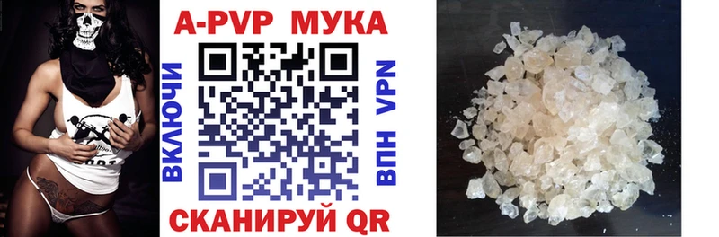 Альфа ПВП СК КРИС  МЕГА зеркало  Фокино 