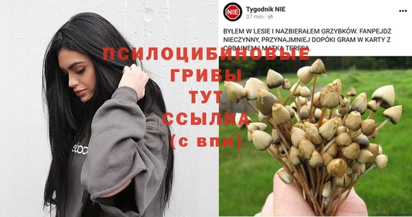 дживик Пересвет